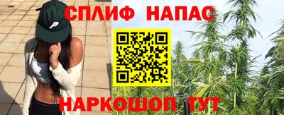 МДПВ Севастополь