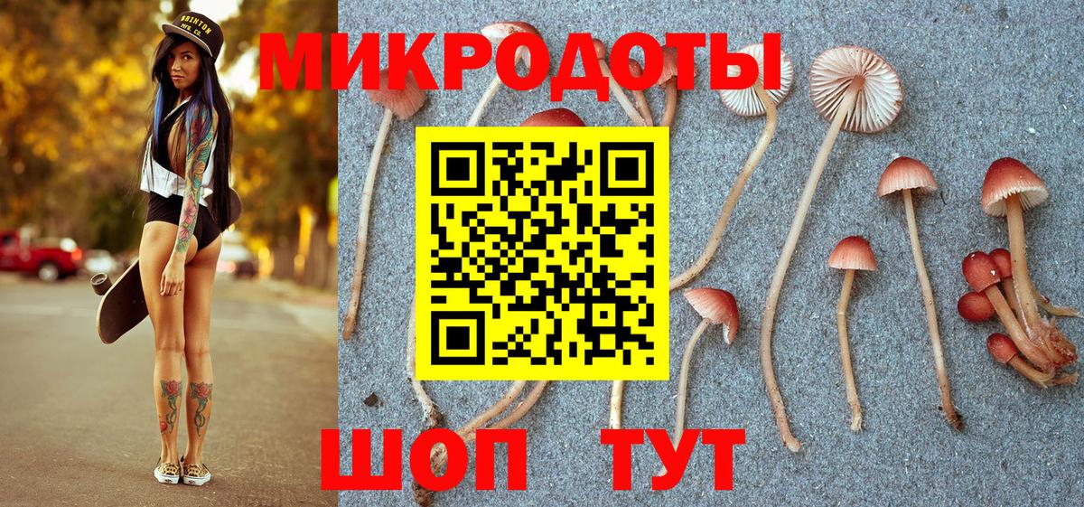 Псилоцибиновые грибы мицелий Нягань