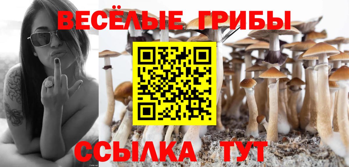 Нягань  Галлюциногенные грибы ЛСД  Вход с VPN  закладки  Галлюциногенные грибы Psilocybine cubensis 